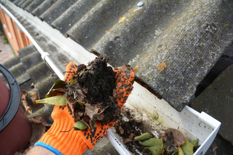 Business Gutter Cleaning in Sacramento, CA