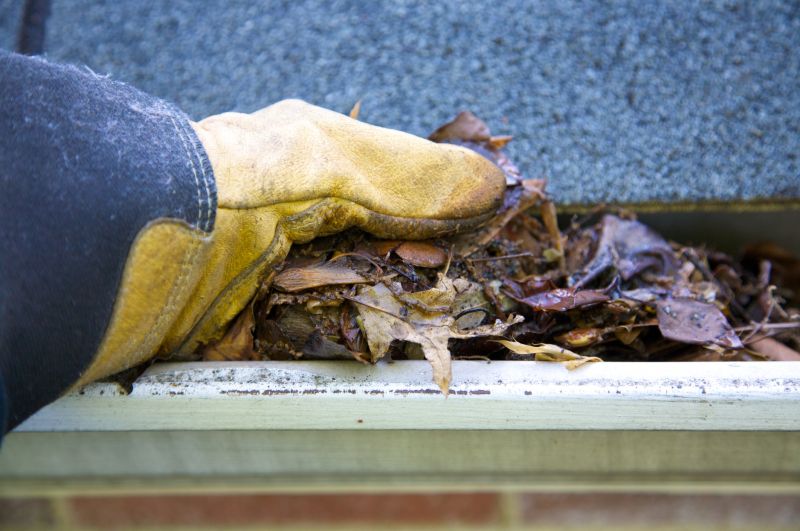 Clogged Gutter Clearing in Longmont, CO