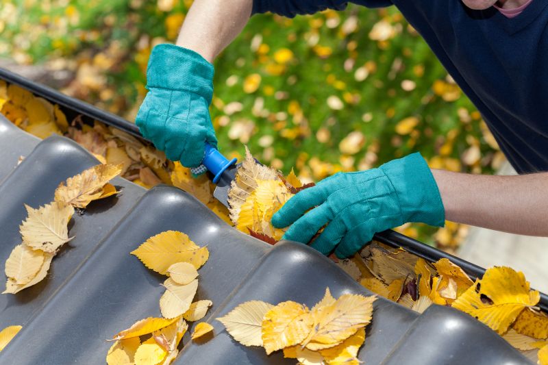 Commercial Gutter Cleaning in Roseville, CA