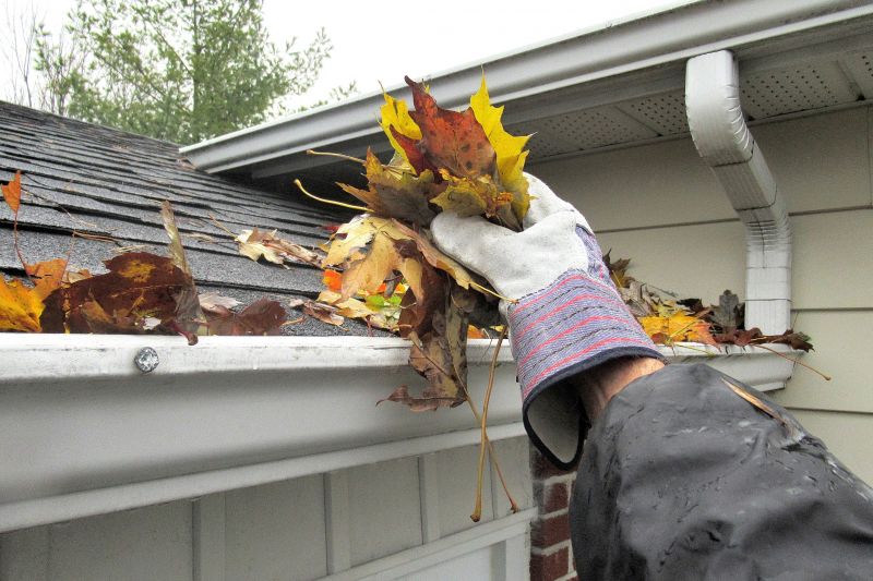 Eavestrough Clearing in Longmont, CO