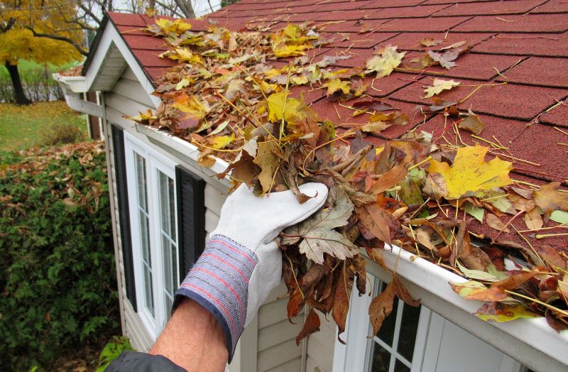 Gutter Blockage Removal in Frederick, MD