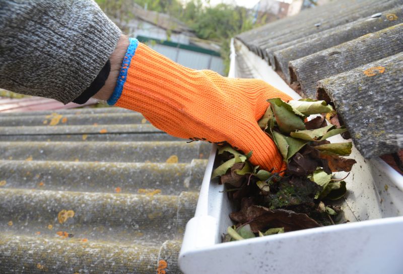 Gutter Cleaning in Baltimore, MD