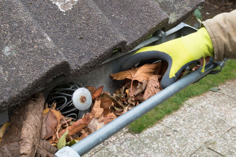 Inspecting Gutter System