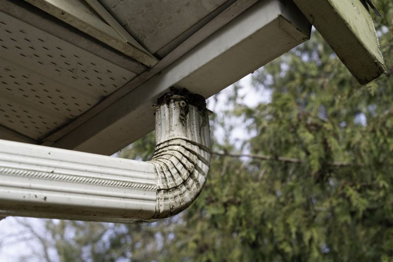 Gutter Downspout Unclogging in Monmouth County, NJ