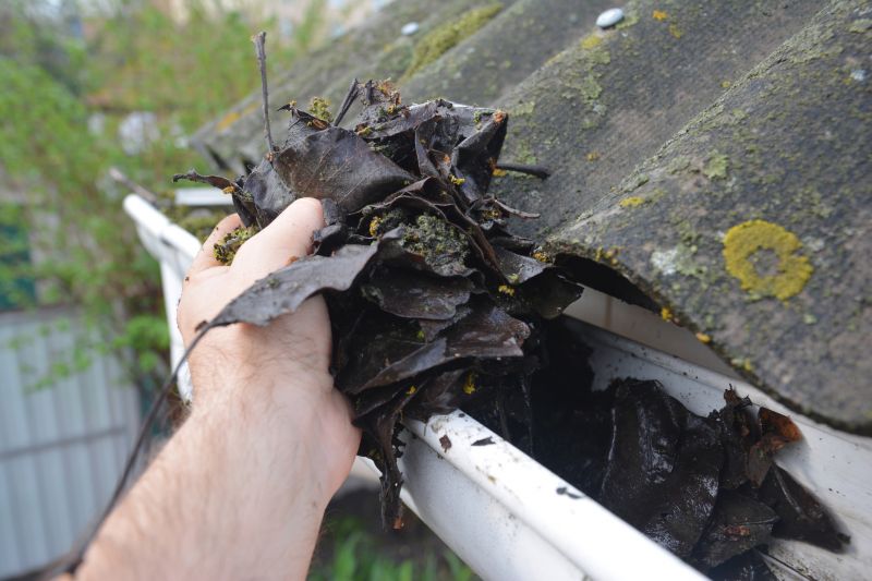 Gutter Leaf Clearing in Annapolis, MD