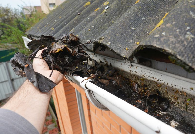 Gutter Leaves Removal in Rochester, NY