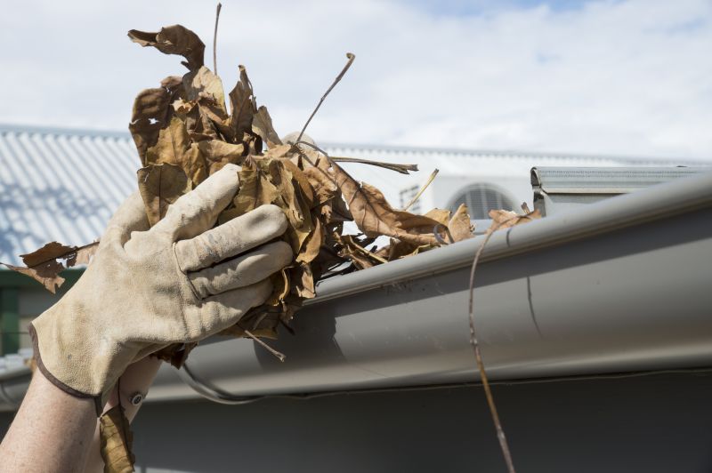 Gutter Leaves Removal in Fredericksburg, VA