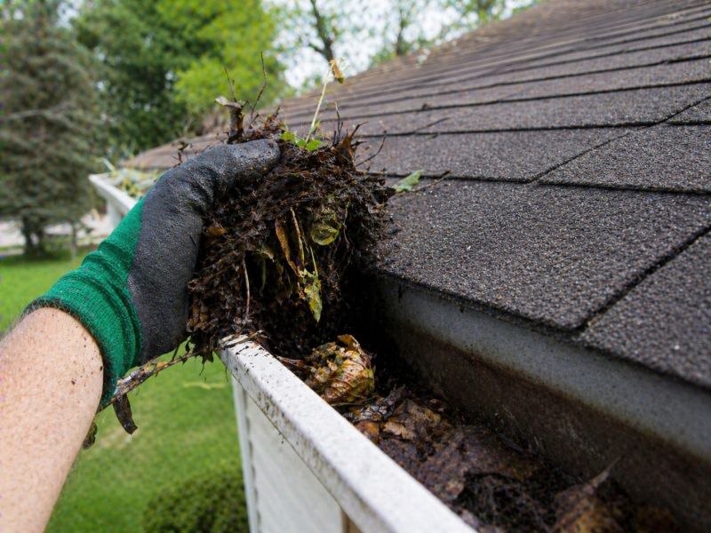 Gutter Leaves Removal in Baltimore, MD