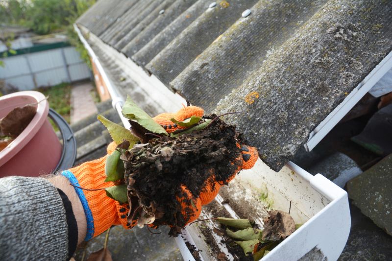 Roof Gutter Cleaning in Monmouth County, NJ