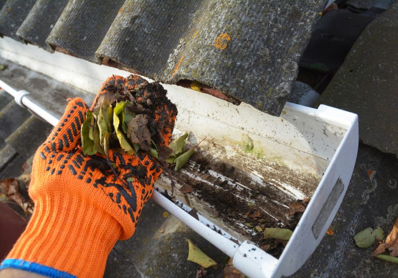 Roof Gutter Cleaning in Annapolis, MD