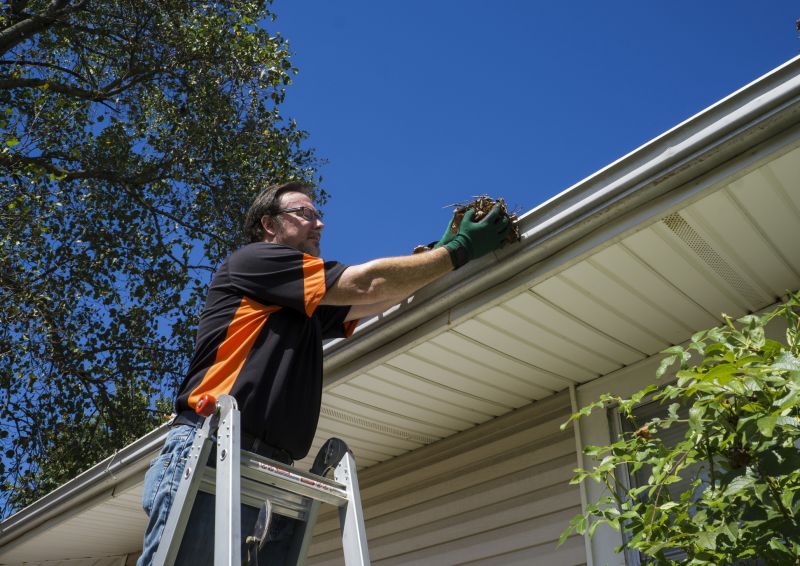 DIY Gutter Cleaning